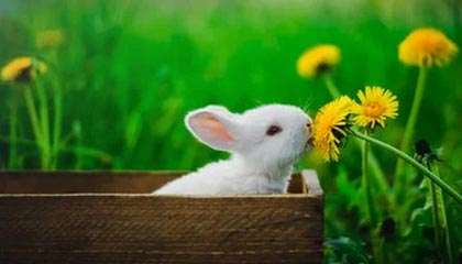 米兰体育官网：把每一场米兰的热血带回家