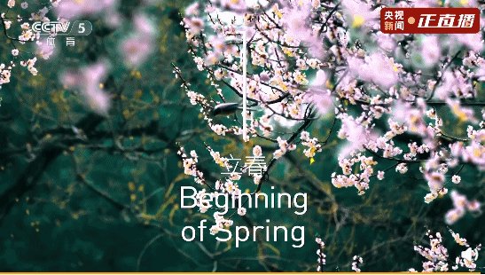 1644037002105017738.gif 微信图片_20220205125619.gif